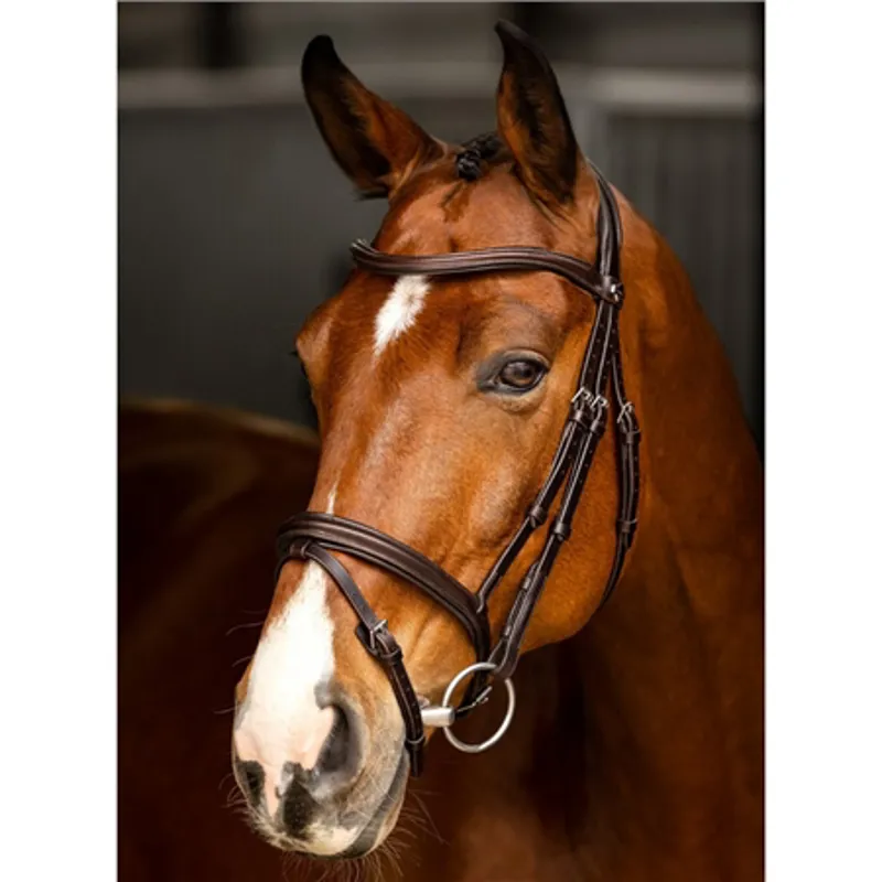 Le Mieux Arika Flash Bridle Brown/Silver-1